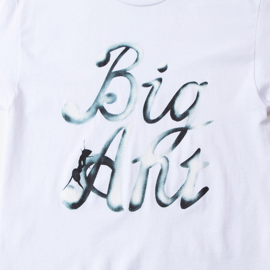 Hank Reavis "BA Script" for Big Ant t-shirt blues store www.bluesstore.co