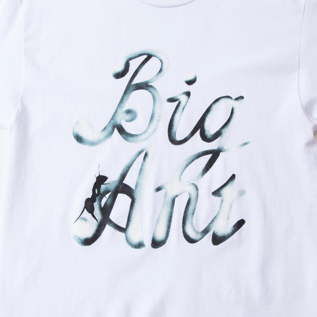 BA Script by Hank Reavis in White | Blues Store